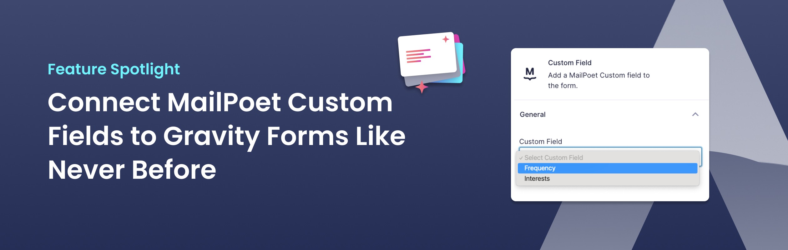 custom-fields.jpg